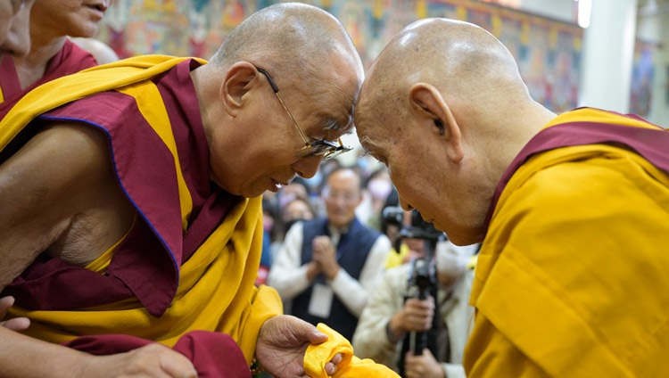 His Holiness the Dalai Lama warmly greeting the Ganden Throneholder before taking his seat to give a teaching at the Main Tibetan Temple in Dharamsala, HP, India on September 30, 2024. Photo by Ven Zamling Norbu