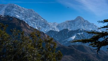 A Manjushri Permission