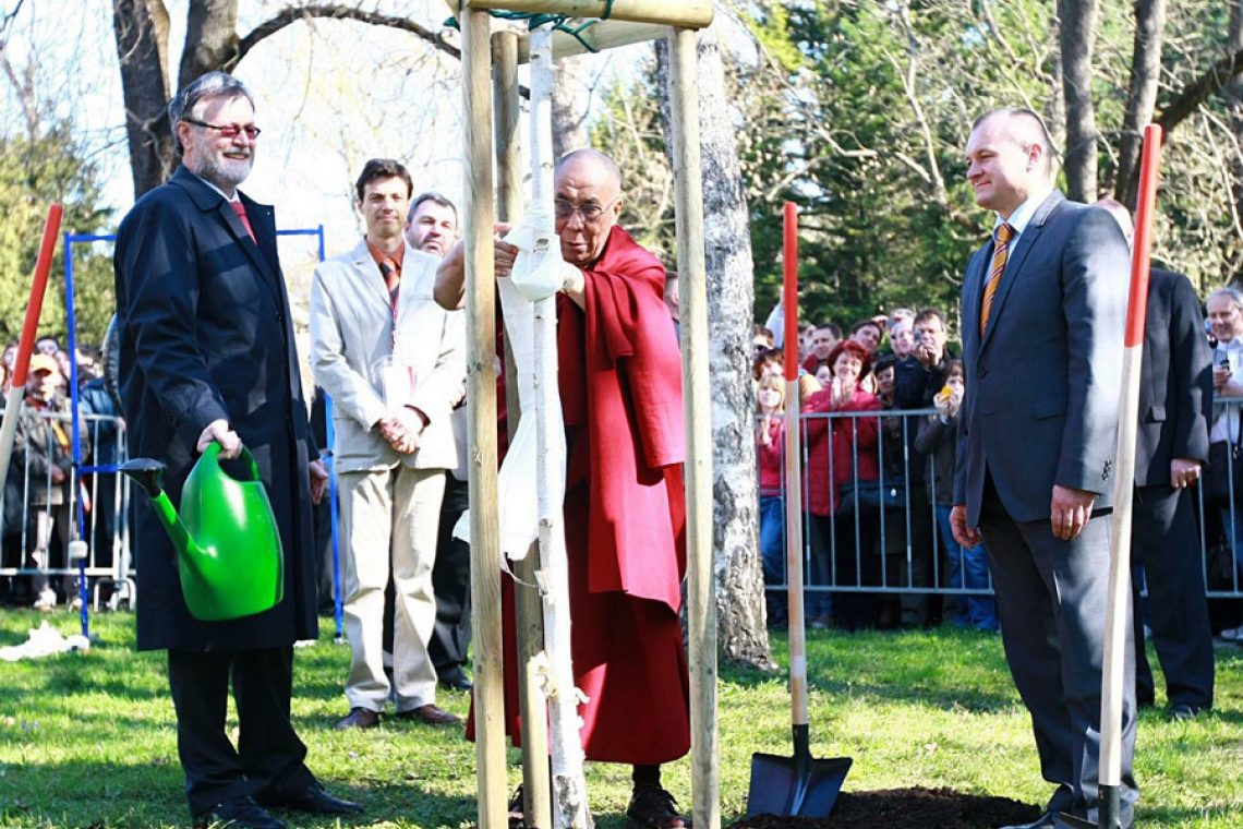 Planting Of Tree Of Peace